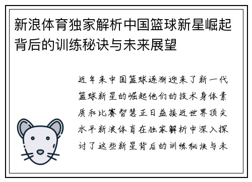 新浪体育独家解析中国篮球新星崛起背后的训练秘诀与未来展望